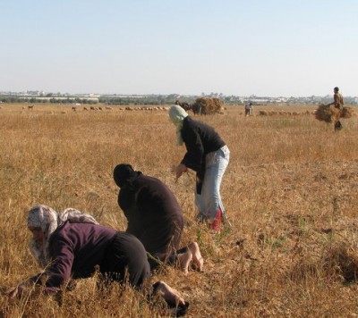 Puinruimen in Gaza is levensgevaarlijk