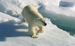 Moratorium op olieboringen op de Noordpool