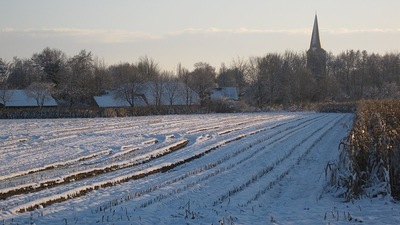 Sneeuw