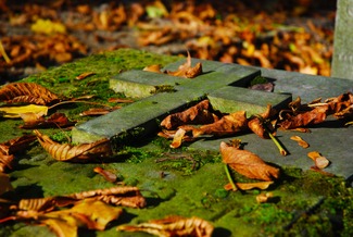 natura uitvaartverzekeraars