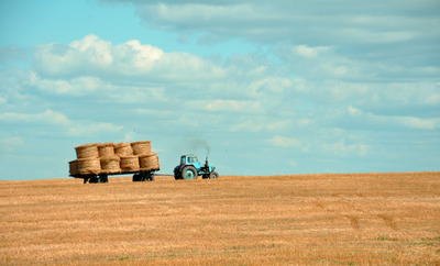 agriculture-clouds-farming-467